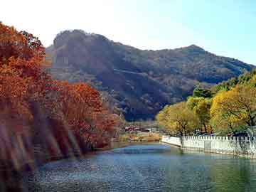 新澳天天开奖资料大全旅游团，路虎极光发动机